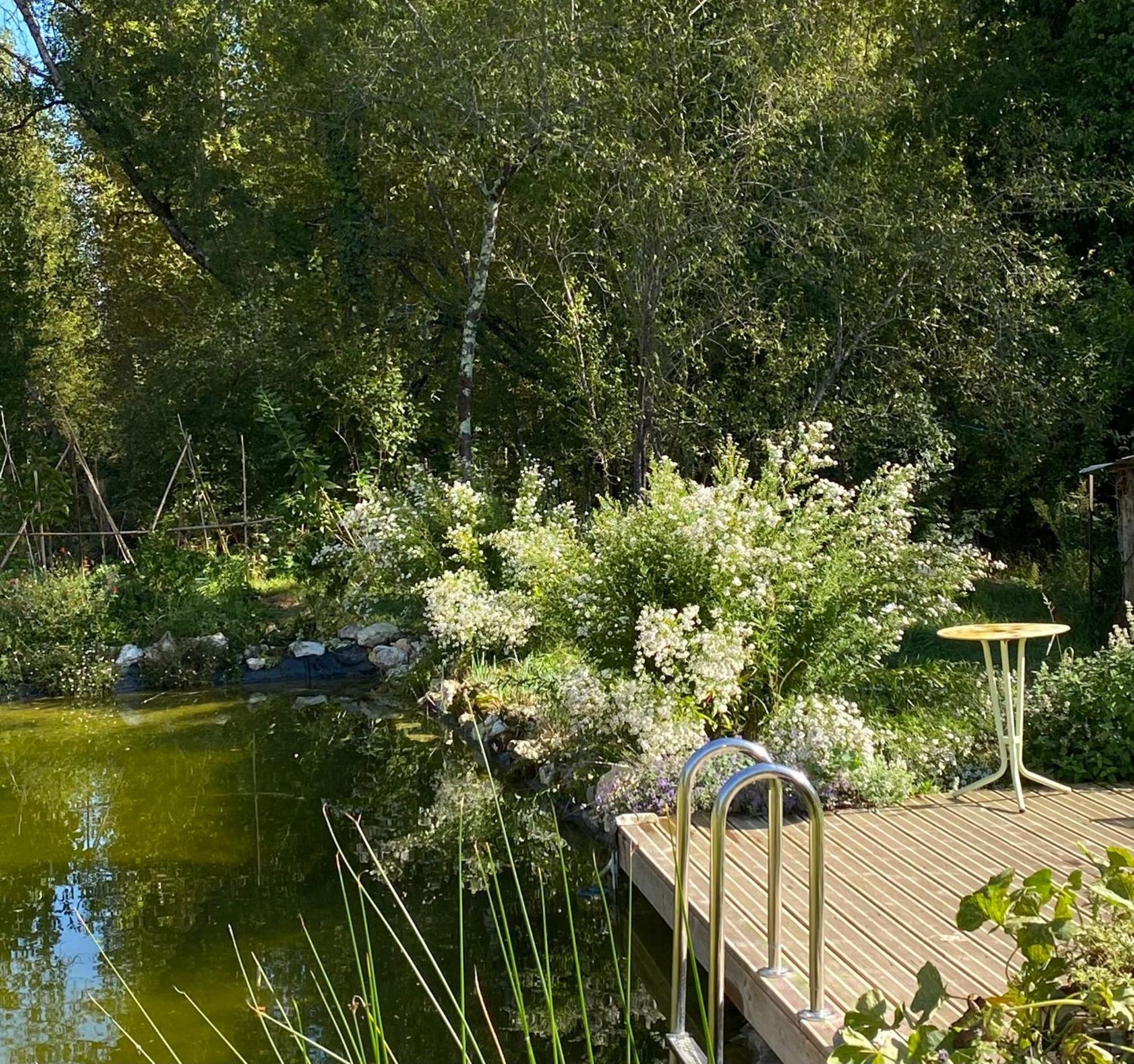 Le Moulin Scalagrand Bed and Breakfast Mazieres  Buitenkant foto